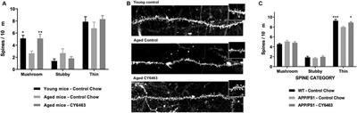 The CNS-Penetrant Soluble Guanylate Cyclase Stimulator CY6463 Reveals its Therapeutic Potential in Neurodegenerative Diseases